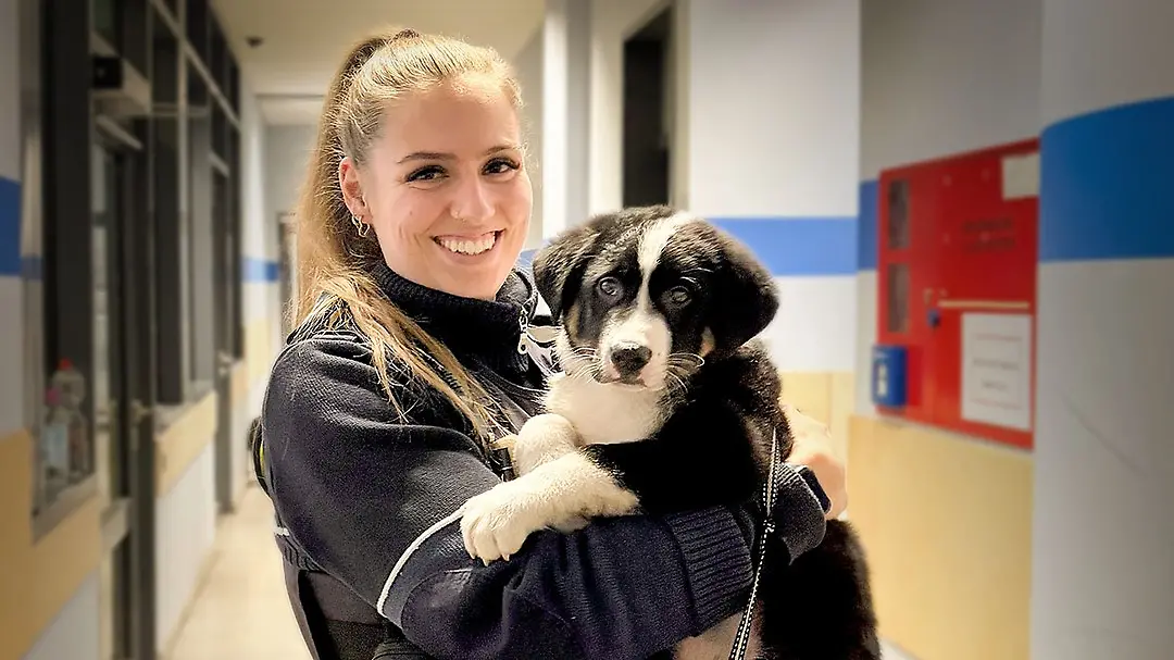 Policewoman takes in abandoned puppy