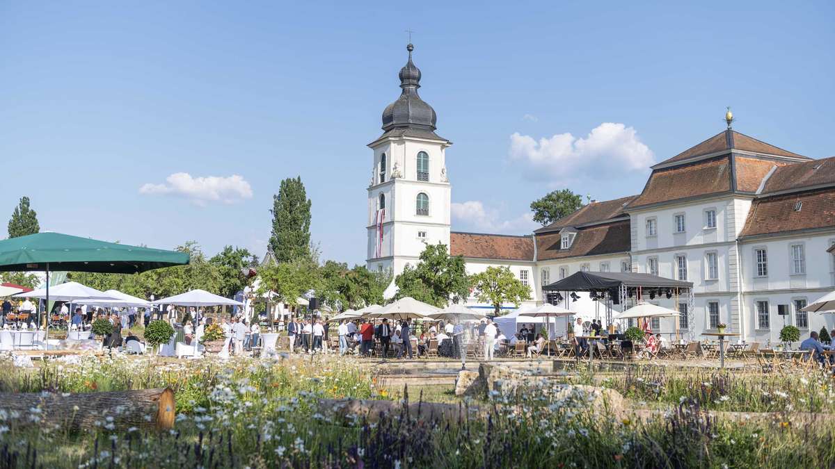 Hesse's nobility makes an offer – what happens next?