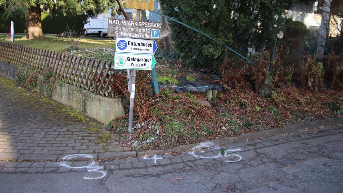 Police officer uses service weapon during traffic stop in Steinau