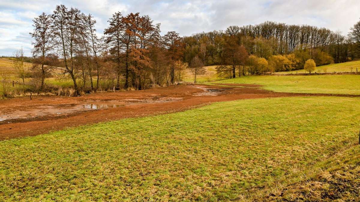 Flood protection in Mackenzell: floodplain project with a major impact