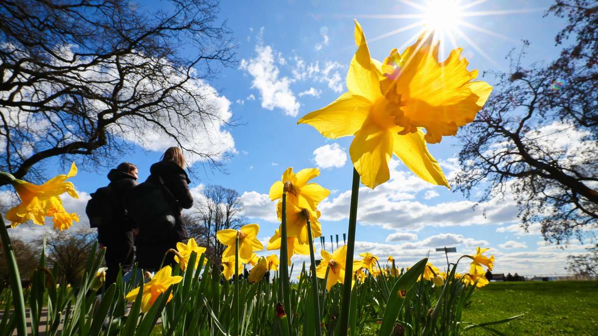 Sun and mild air expected in Hesse