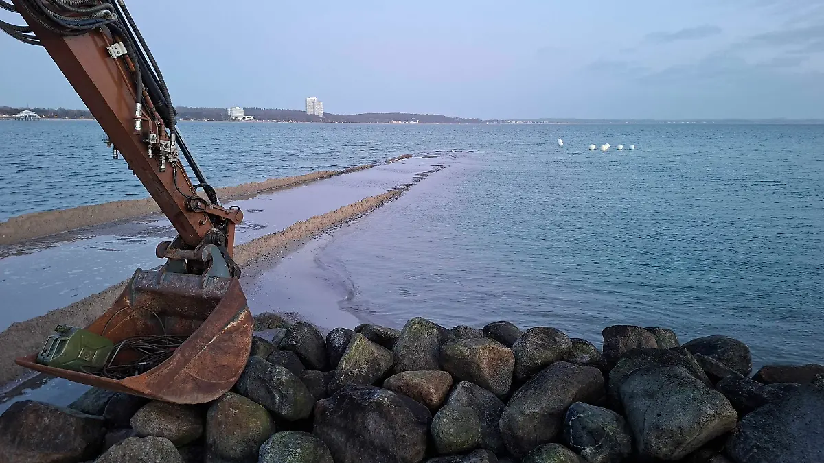 Baltic Sea humpback whale has freed itself from sandbank – how the rescue operation is now continuing