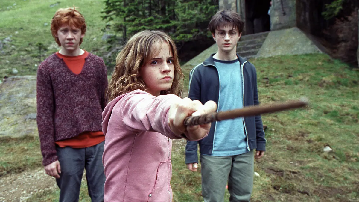 What are Emma Watson, Daniel Radcliffe and Co. doing currently?