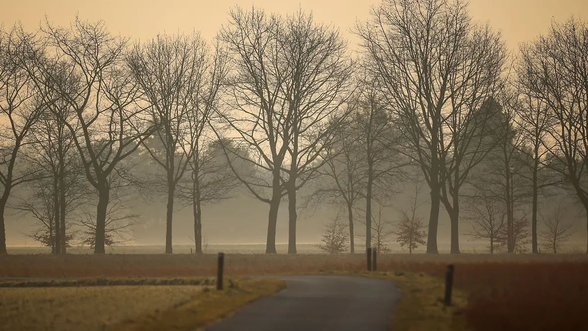 Now the Sahara dust is coming to us – the sun is clouded over the weekend!