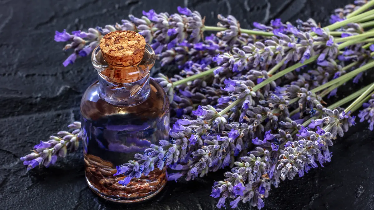 Curses and love spells from the Internet – consumer advice centers advise caution