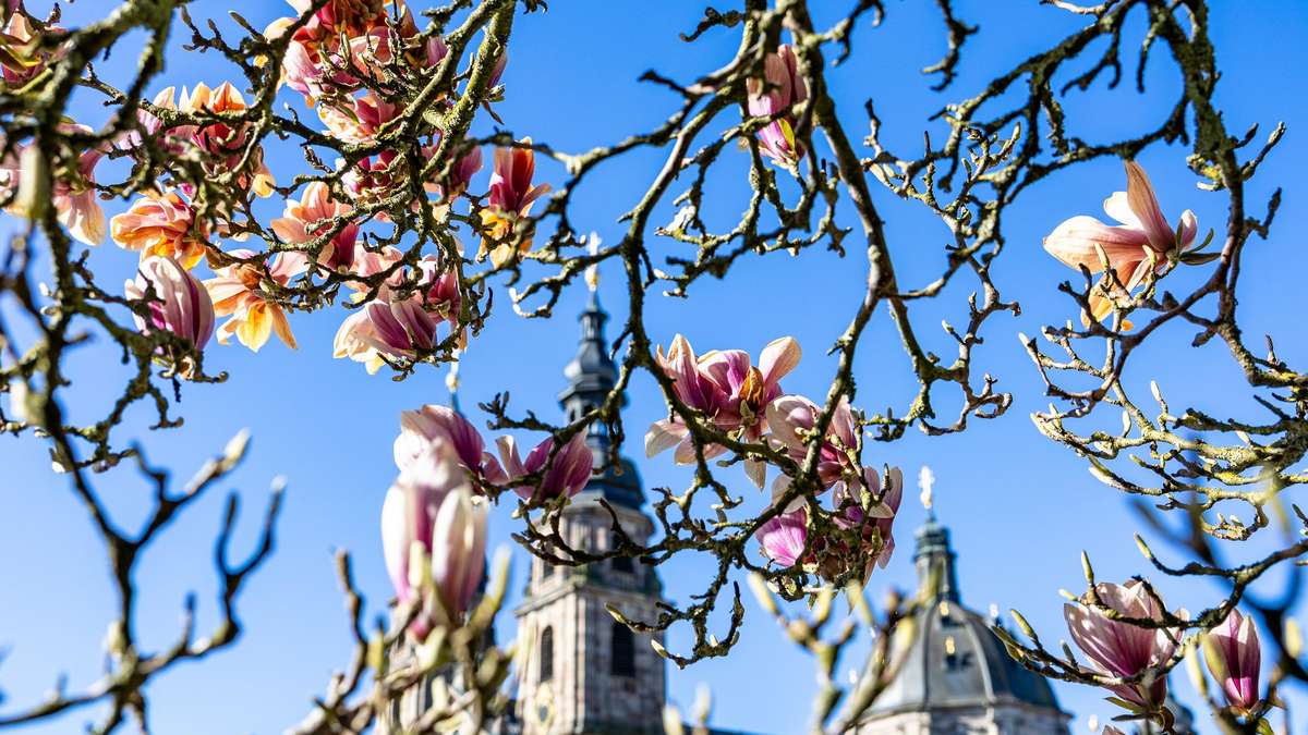 Liturgy and festive music in the cathedral