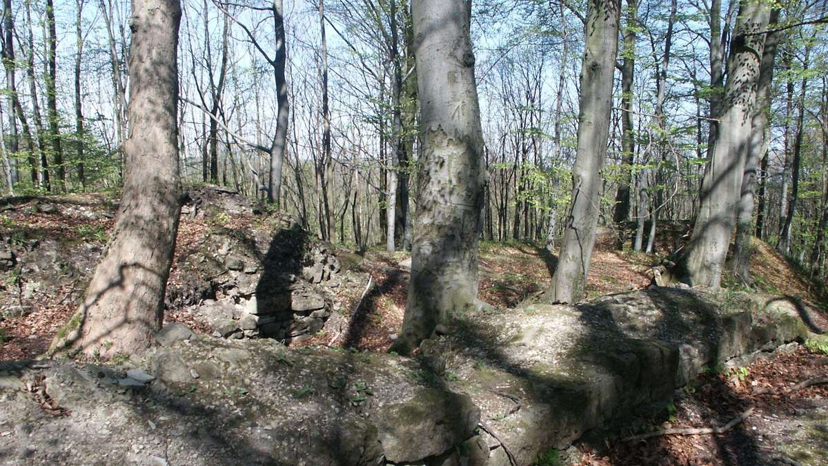Detectors destroy a cultural monument in Hesse