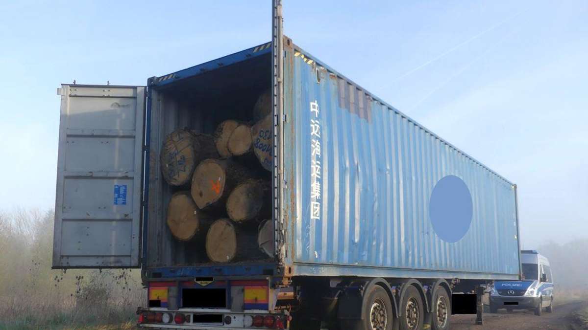 Incorrectly loaded oak trunks made trucks immobile