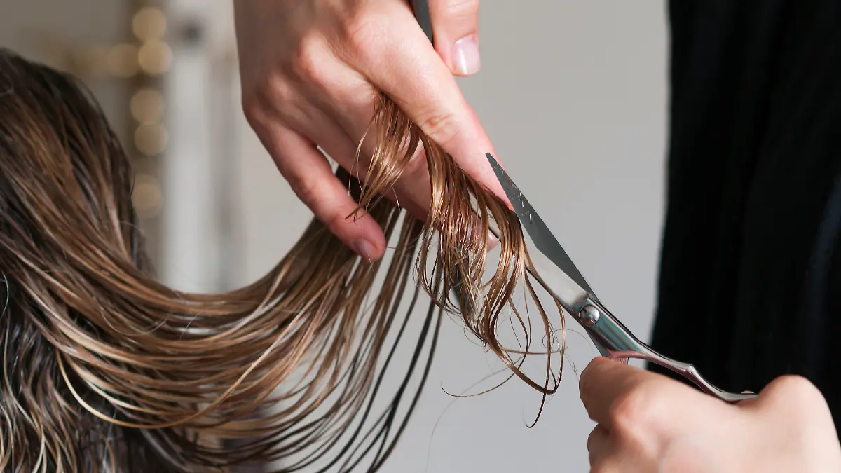 These haircuts are trending in spring 2026