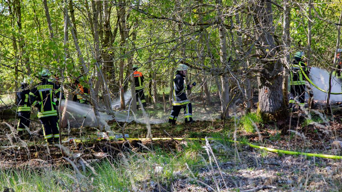 A piece of forest in Vogelsberg is on fire – 60 firefighters on duty