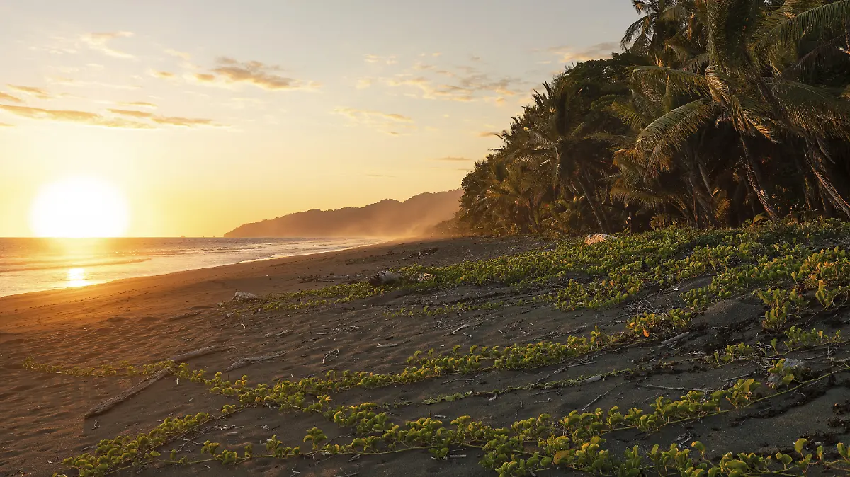 With these savings tips you can book the cheapest vacation in 2026!