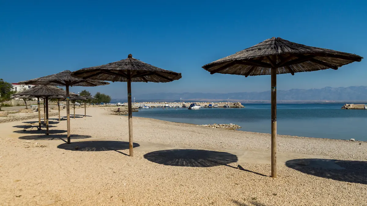 Tick infestation on the island of Vir and in Zadar