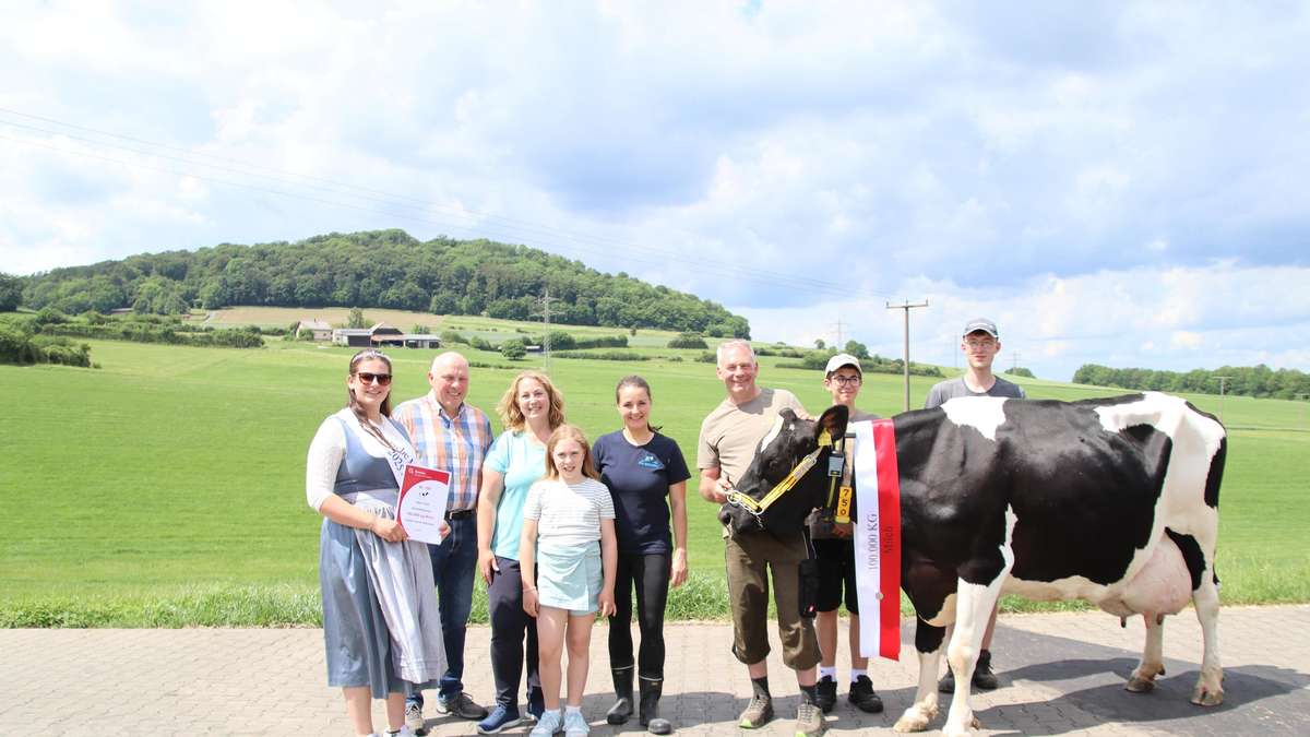 Record cow Lotte gives 100,000 liters of milk and is honored
