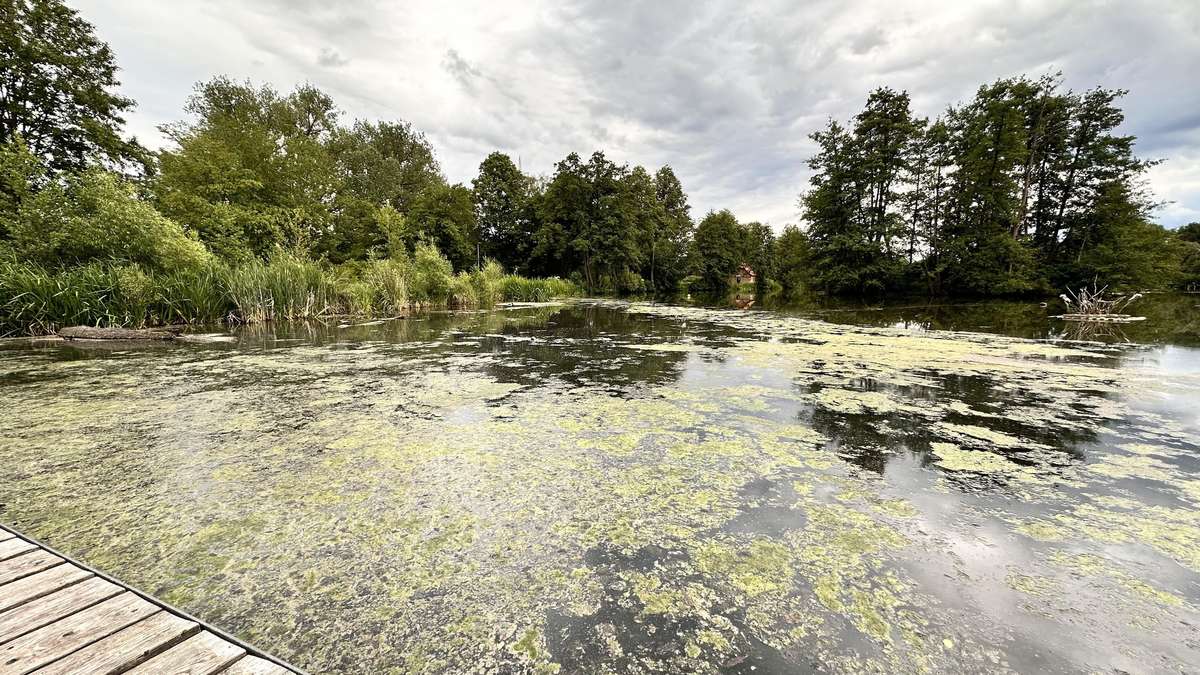 Canoe Club Fulda postpones Hessentag program due to blue-green algae